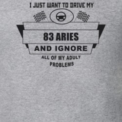 I Just Want To Drive My 1983 Aries And Ignore All My Adult Problems Fu