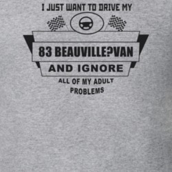 I Just Want To Drive My 1983 Beauville?Van And Ignore All My Adult Pro