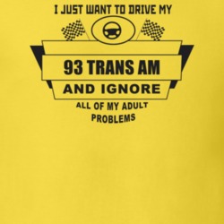 I Just Want To Drive My 1993 Trans Am And Ignore All My Adult Problems