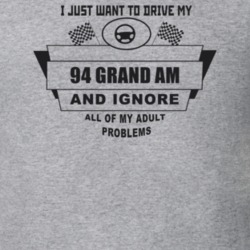 I Just Want To Drive My 1994 Grand Am And Ignore All My Adult Problems