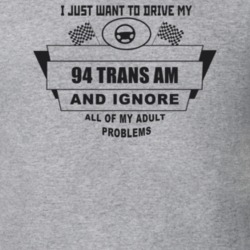 I Just Want To Drive My 1994 Trans Am And Ignore All My Adult Problems