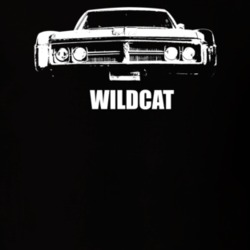 1969 Wildcat Grill View With Model Dark Color T Shirt