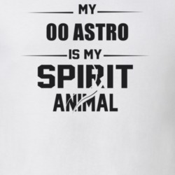 My 2000 Astro Is My Spirit Animal Funny T Shirt