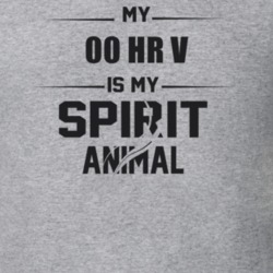 My 2000 Hr V Is My Spirit Animal Funny T Shirt