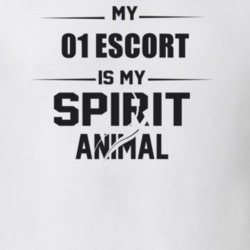 My 2001 Escort Is My Spirit Animal Funny T Shirt