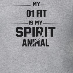 My 2001 Fit Is My Spirit Animal Funny T Shirt