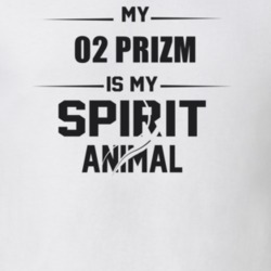 My 2002 Prizm Is My Spirit Animal Funny T Shirt