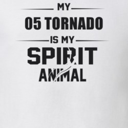 My 2005 Tornado Is My Spirit Animal Funny T Shirt