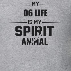 My 2006 Life Is My Spirit Animal Funny T Shirt