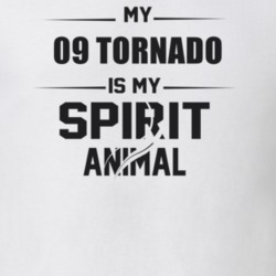 My 2009 Tornado Is My Spirit Animal Funny T Shirt