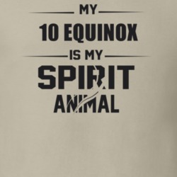 My 2010 Equinox Is My Spirit Animal Funny T Shirt