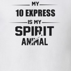 My 2010 Express Is My Spirit Animal Funny T Shirt