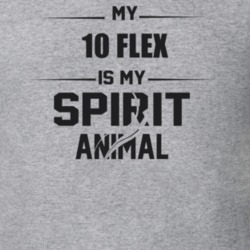 My 2010 Flex Is My Spirit Animal Funny T Shirt