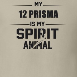 My 2012 Prisma Is My Spirit Animal Funny T Shirt