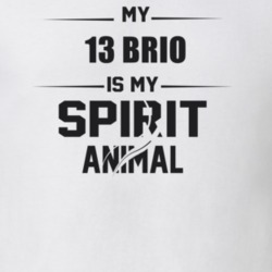 My 2013 Brio Is My Spirit Animal Funny T Shirt
