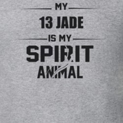 My 2013 Jade Is My Spirit Animal Funny T Shirt