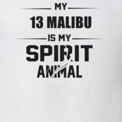 My 2013 Malibu Is My Spirit Animal Funny T Shirt