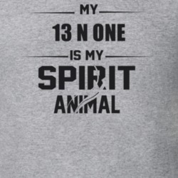 My 2013 N One Is My Spirit Animal Funny T Shirt