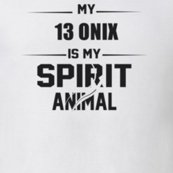 My 2013 Onix Is My Spirit Animal Funny T Shirt