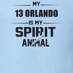 My 2013 Orlando Is My Spirit Animal Funny T Shirt