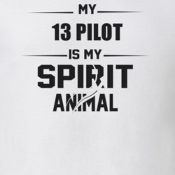 My 2013 Pilot Is My Spirit Animal Funny T Shirt