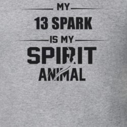 My 2013 Spark Is My Spirit Animal Funny T Shirt