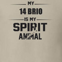 My 2014 Brio Is My Spirit Animal Funny T Shirt