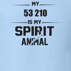 My 1953 210 Is My Spirit Animal Funny T Shirt