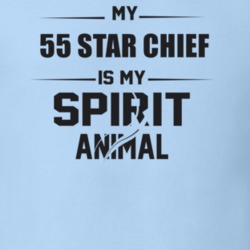 My 1955 Star Chief Is My Spirit Animal Funny T Shirt