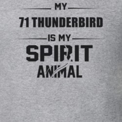My 1971 Thunderbird Is My Spirit Animal Funny T Shirt
