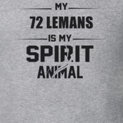 My 1972 Lemans Is My Spirit Animal Funny T Shirt