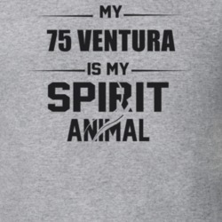 My 1975 Ventura Is My Spirit Animal Funny T Shirt