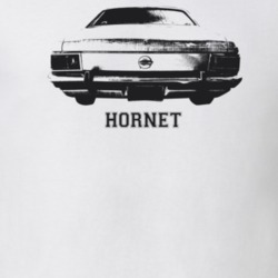 1971 Hornet Rear View With Model Light Color T Shirt