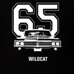 1965 Wildcat Grill View With Year and Model Dark Color T Shirt