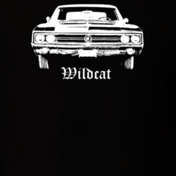 1965 Wildcat Grill View With Model Dark Color T Shirt