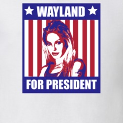 Wayland For President Gone in Sixty Seconds Character Parody Election 