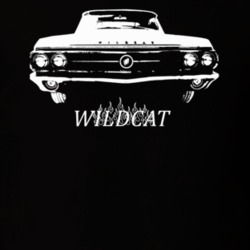 1963 Wildcat Grill View With Model Dark Color T Shirt