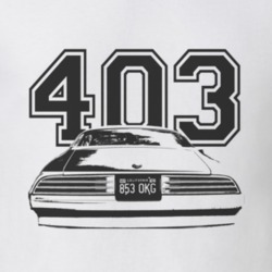Jim Rockford 1977 Pontiac Firebird Esprit Rear Black Graphic Engine Si