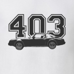 Jim Rockford 1977 Pontiac Firebird Esprit Black Graphic Side Engine Si