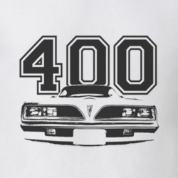 Jim Rockford 1977 Pontiac Firebird Esprit Grill Black Graphic Engine S
