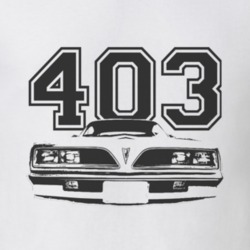 Jim Rocford 1977 Pontiac Firebird Esprit Grill Black Graphic Engine Si