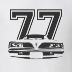 Jim Rockford 1977 Pontiac Firebird Esprit Grill Black Graphic Year T S