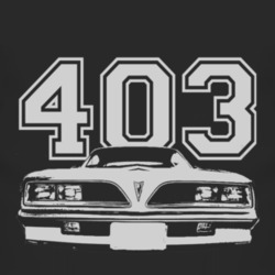 Jim Rockford 1977 Pontiac Firebird Esprit Grill_White Graphic Engine S