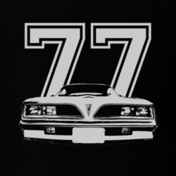 Jim Rockford 1977 Pontiac Firebird Esprit Grill White Graphic Year T S