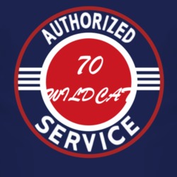 Authorized Service 1970 BUICK WILDCAT Dark T Shirt