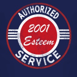 Authorized Service 2001 Chevy Esteem Distressed Look Dark T Shirt