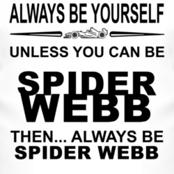 Always Be Yourself Unless You Can Be Spider Webb Funny T Shirt
