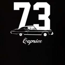 1973 Caprice Side View With Year And Model Dark Color T Shirt