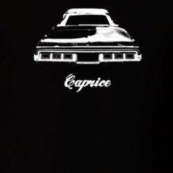 1973 Caprice Rear View With Model Dark Color T Shirt