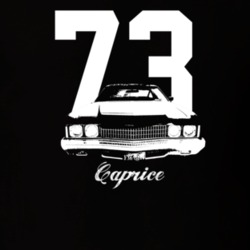 1973 Caprice Grill View With Year And Model Dark Color T Shirt